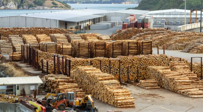 俄罗斯木材加工出口项目