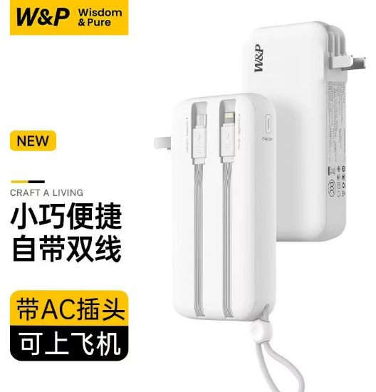 Organic Green Tea (100 Bags)