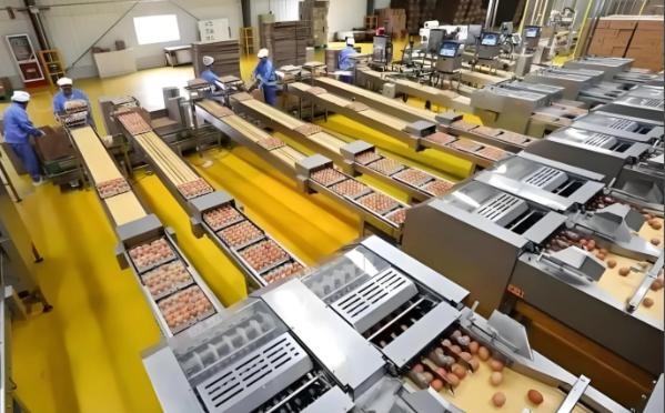 农产品深加工设备